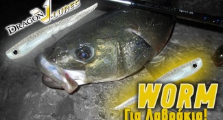 Dragon V-Lures Worm 10cm 3tem 2 ANOIGMA V LURES WORM 325x176 c