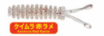 Progre Aji Milk Squid 1.5" - Image 8