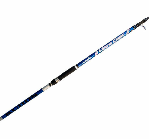 Remixon KUDOS Ultra Cast 200