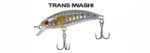 Τεχνητό Ryuji Baby Minnow - Image 12