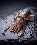 Σουπιά Σιλικόνης Monster  XIBIA - Image 4